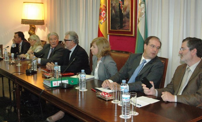 Pleno de la Cámara de Comercio de Córdoba