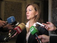 Consulta.- C's també exigeix a Mas que sigui ell qui defensi la consulta al Congrés