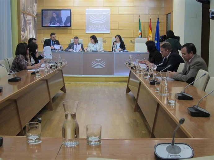 Comisión parlamentaria de reforma de la ley electoral