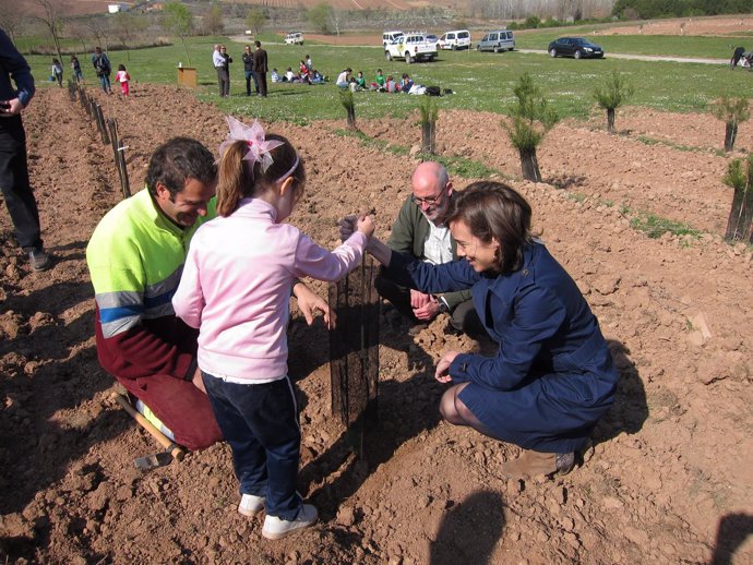 Gamarra ayuda a una niña a plantar su árbol