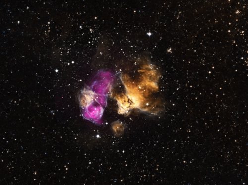 Supernova con estrella superviviente
