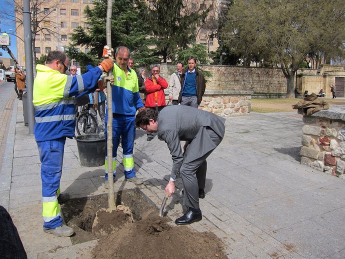 El alcalde de Salamanca, Alfonso Fernández Mañueco, planta un árbol.