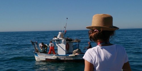 Ruta de Pescadores, Turismo Marinero 