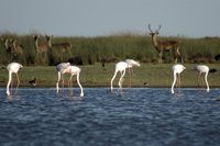 El presidente del CSIC señala que 2014 empieza "por primera vez con déficit cero y con presupuestos mejorados"