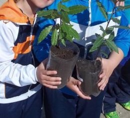 Niños con plantas en el Día Mundial del Árbol