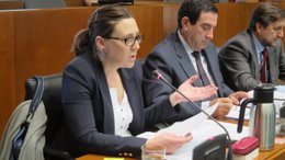 Ana Cristina Vera, diputada del PSOE en las Cortes de Aragón