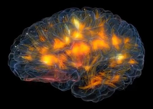 Imagen de la actividad cerebral gracias a realidad virtual