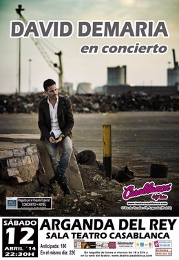 Cartel promocional del concierto