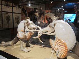 Exposición 'Metamorfosis'  en el CCCB