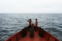 Localizados 122 objetos que podrían corresponder al avión desaparecido