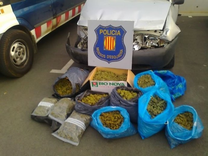 Marihuana que portavan en un coche accidentado tras escapar de un control