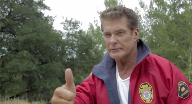David Hasselhoff, 'The Hoff'