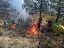 Operarios del Infoca extinguen las llamas de Sierra de Gádor