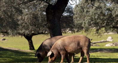 Extremadura Turismo