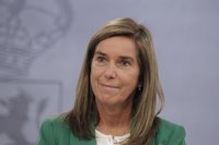 Sanidad y el Observatorio de Violencia de Género intercambiarán datos, formarán jueces y analizarán la Ley Integral