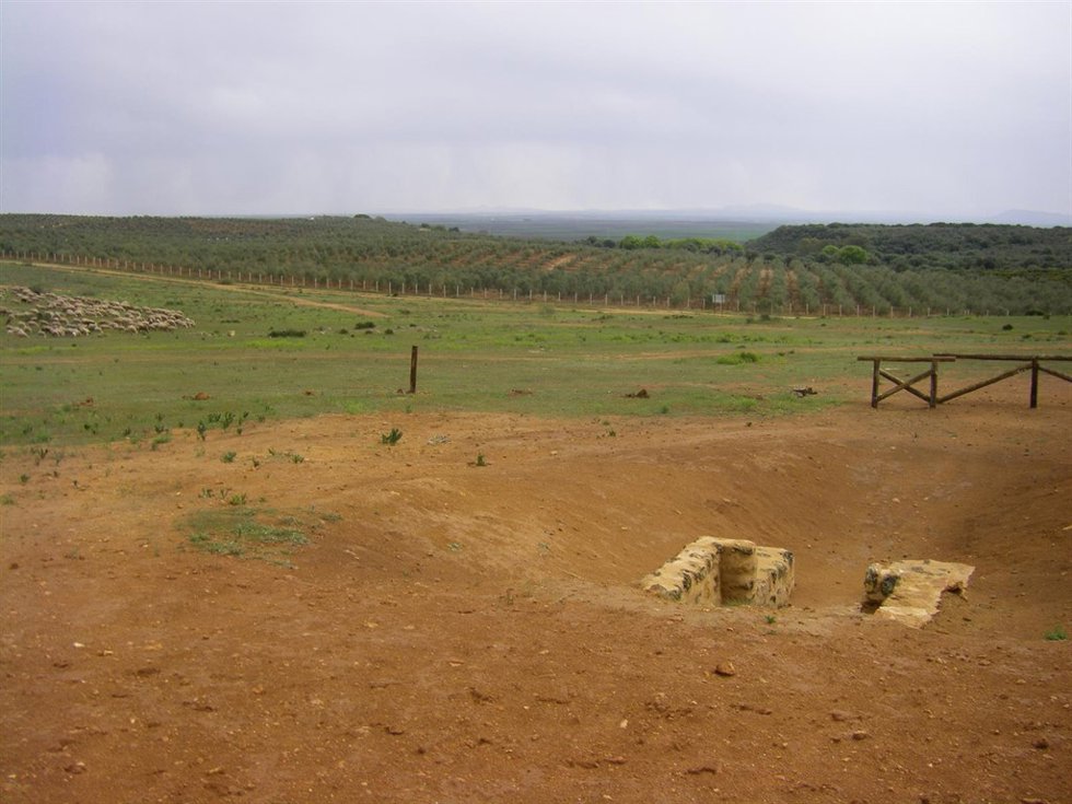 Entorno Del Dolmen De Gandul.