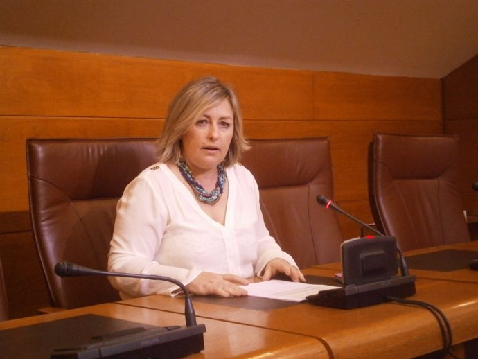 Ana Isabel Méndez, diputada del PSOE