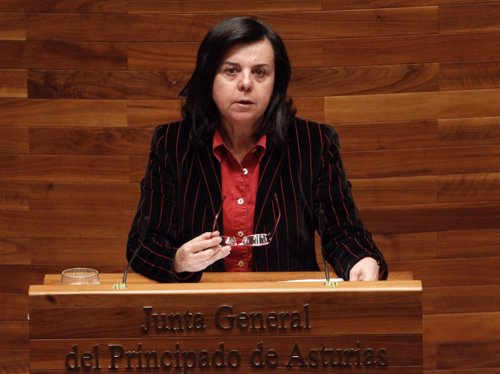 María Jesús Álvarez en la Junta General