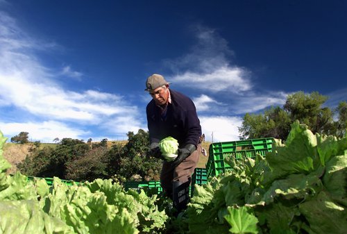 El cambio climático afectó a los productores agrícolas en Uruguay