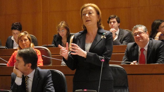 La presidenta Luisa Fernanda Rudi en su intervención en el pleno