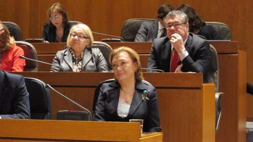 Luisa Fernanda Rudi, en la sesión plenaria