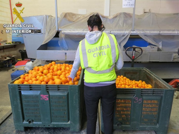 Operación contra el robo de naranjas