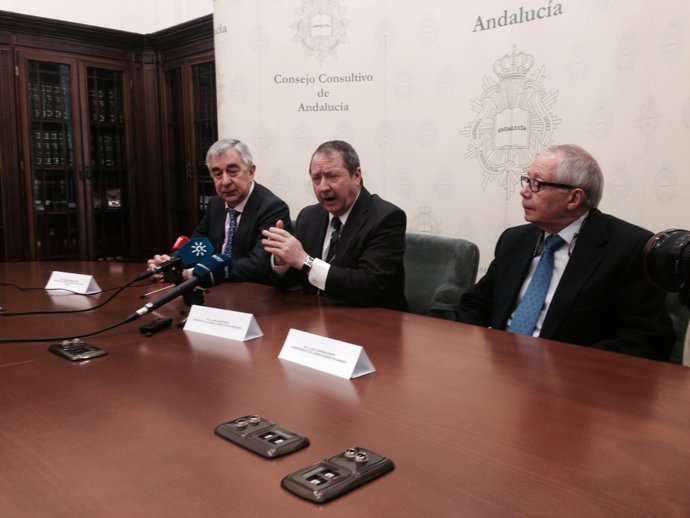 Juan Cano Bueso, en rueda de prensa