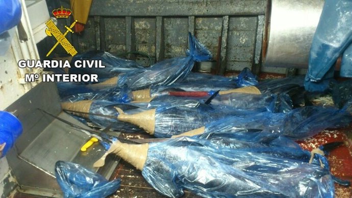 Pescado incautado por la Guardia Civil