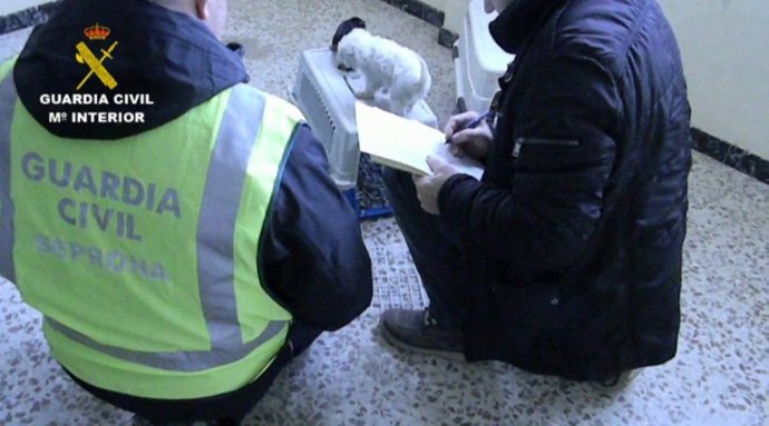 Balance de actuaciones de 2013 del Seprona (Guardia Civil)