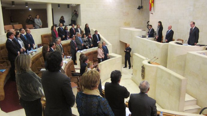 El Pleno guarda un minuto de silencio en memoria de Suárez