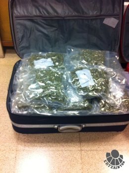 Marihuana incautada.