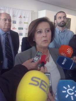 La consejera de Igualdad, Salud y Políticas Sociales, María José Sánchez Rubio.
