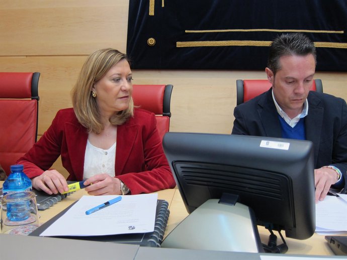 Comparecencia de Pilar del Olmo