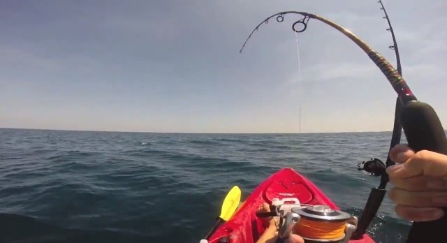 Kayak arrastrado por un tiburón 