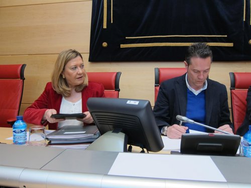 Del Olmo en la Comisión de Hacienda