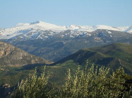 Sierra nevada