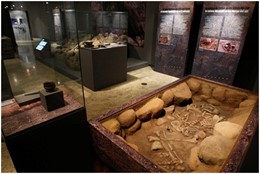 Museu Valencià de la Festa de Algemesí