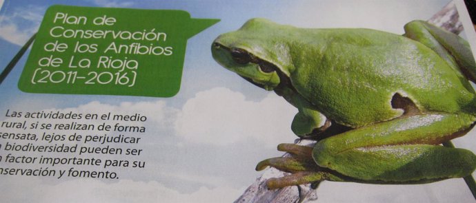 Plan De Conservación De Anfibios (Ranas)