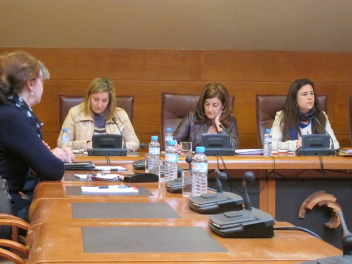 La consejera de Sanidad en comisión parlamentaria 