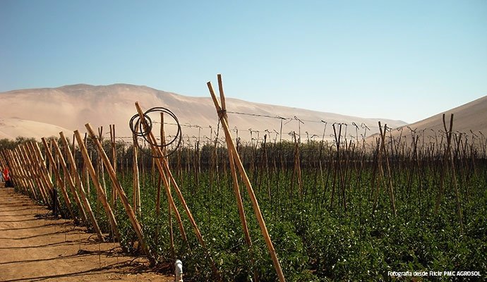 Región agrícola chilena