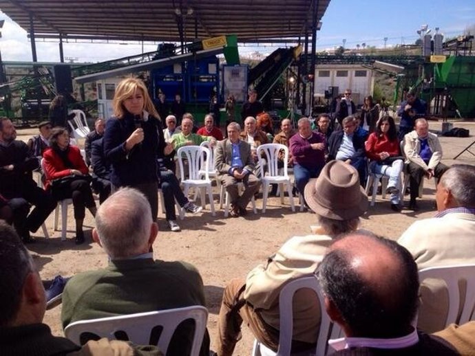 Elena Valenciano en un acto con el sector del olivar en Córdona