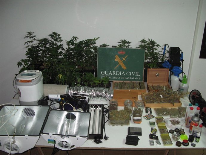 Droga y material incautado en Tías