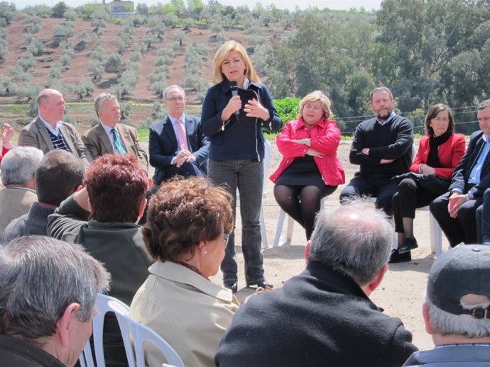 Valenciano habla, entre olivares, con representantes de dicho sector en Montoro