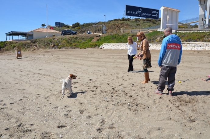Oña y mula playa para perros fuengirola málaga turismo canes mascotas 