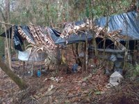 Colombia.- Matan a 'Mery' del frente 36 de las FARC en Colombia