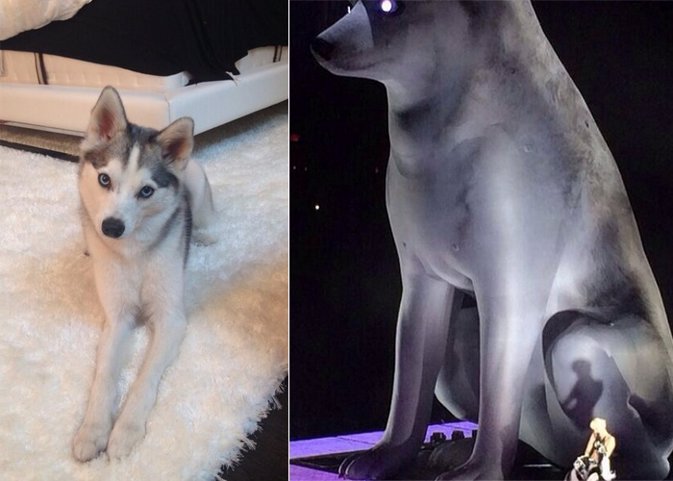 Replica gigante perro Floyd Miley Cyrus