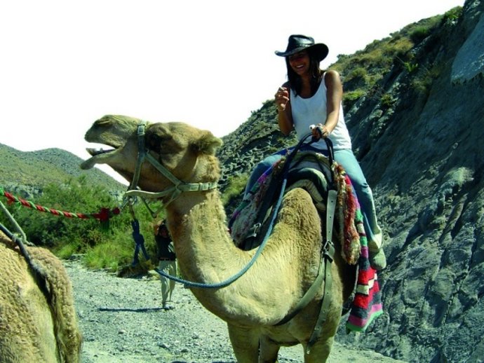 Camellos en el desierto de Tabernas