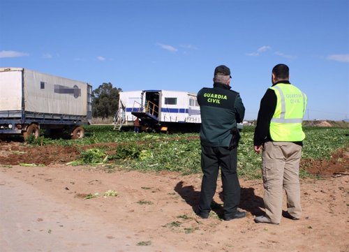 Imagen de la campaña