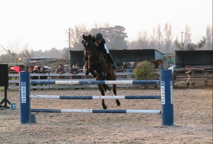 Un jinete salta con su caballo