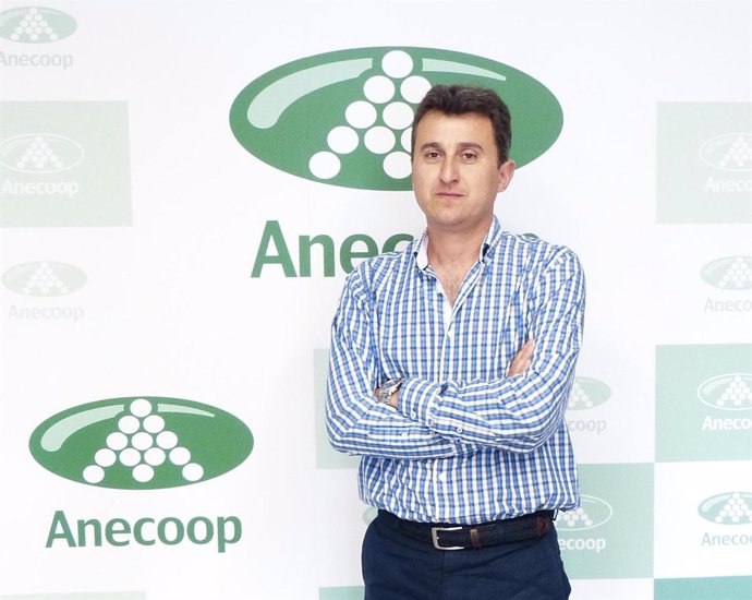 Alejandro Monzón, nuevo presidente de Anecoop.